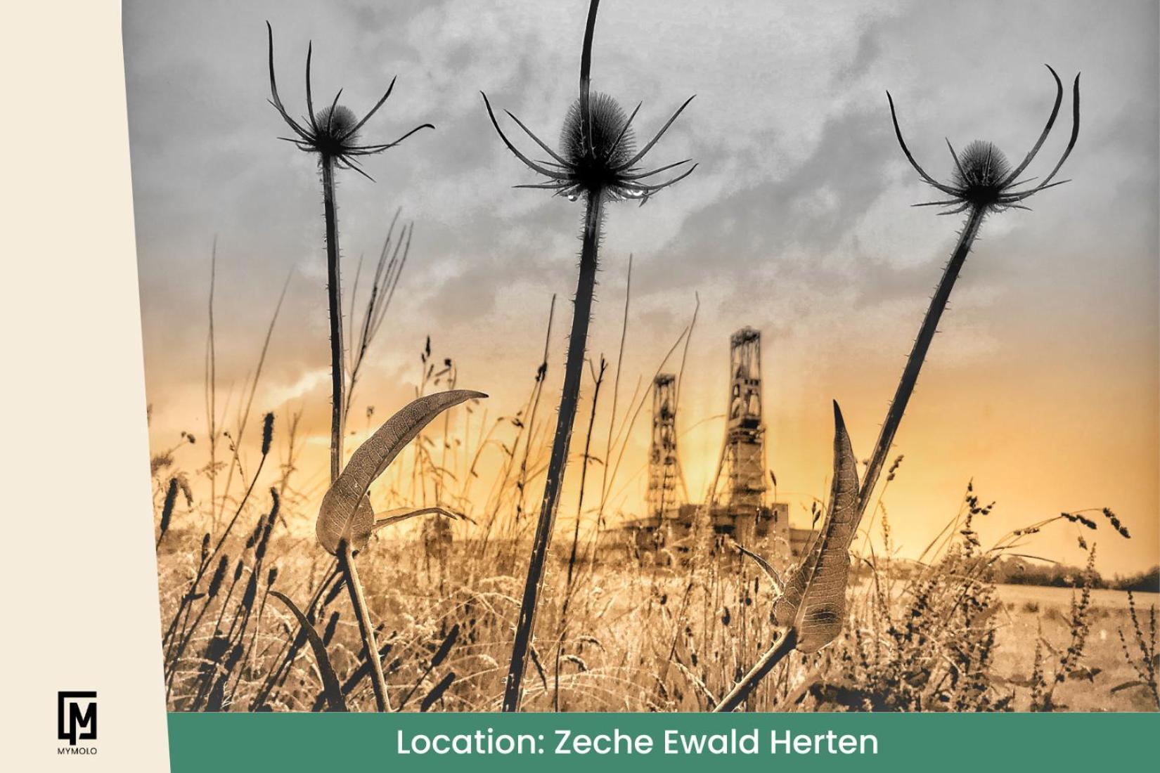 Glamping In Der Zeche Ewald Herten 黑尔滕 外观 照片